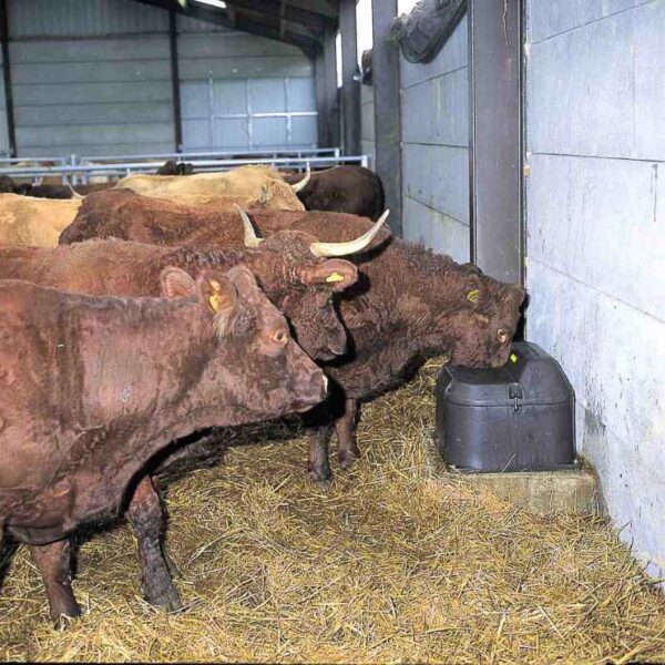 thermolac44 jootur 3 THERMOLAC 40 GV