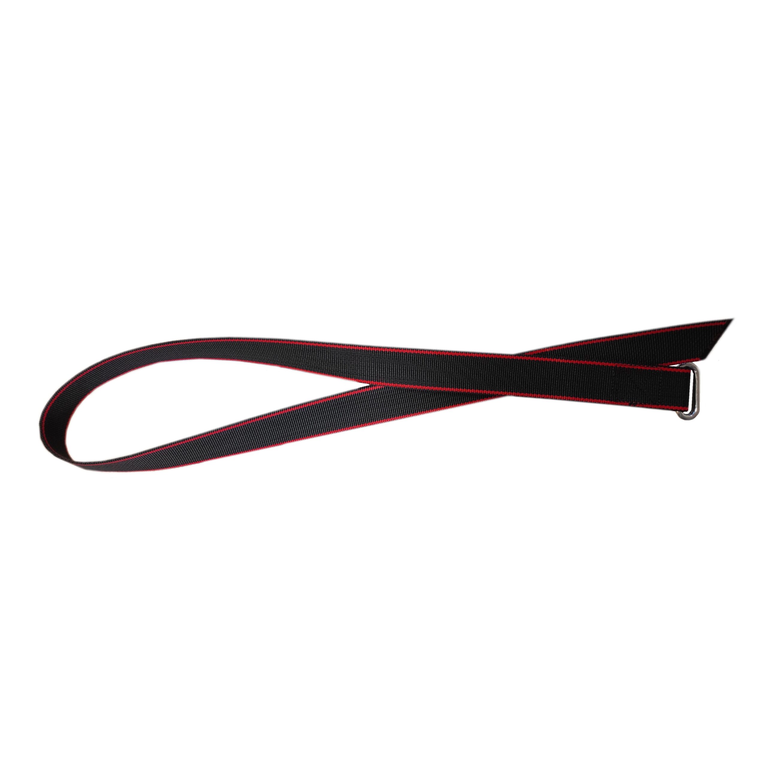 Collar with oval buckle