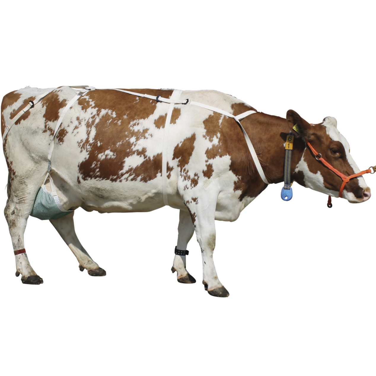 UDDER PROTECTOR COMPLETE