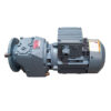 Electrical cow brush LATTER engine 0,25 kW - 380 V + reducer
