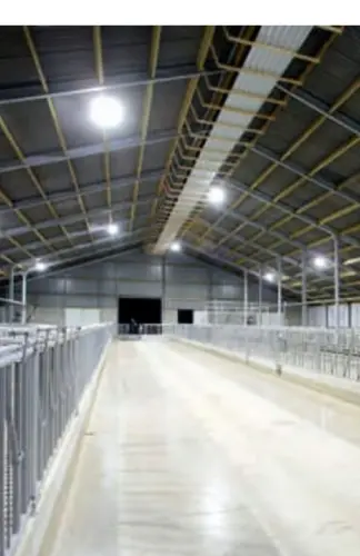 ValgustusAvaleht4 LED-valaistus