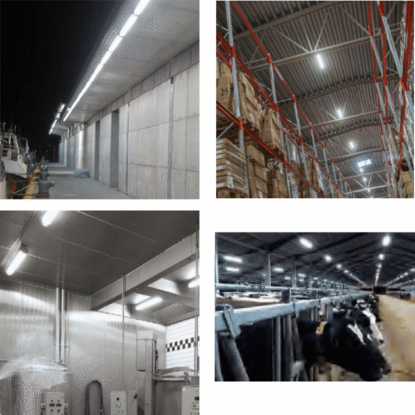 Led-Triproof 5.1 LED gaismeklis – cauruļveida lampa 40 W / 150 lm, IP69K