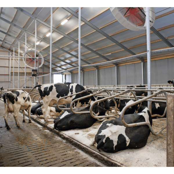 Ventilators Multifan AirBreeze 1500 mm, 48 150 m³/h