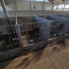 Meedium-2-scaled Plastvasikaboks Calf-QuickBox 1.2 (0-3 kuud) plasttagaseinaga