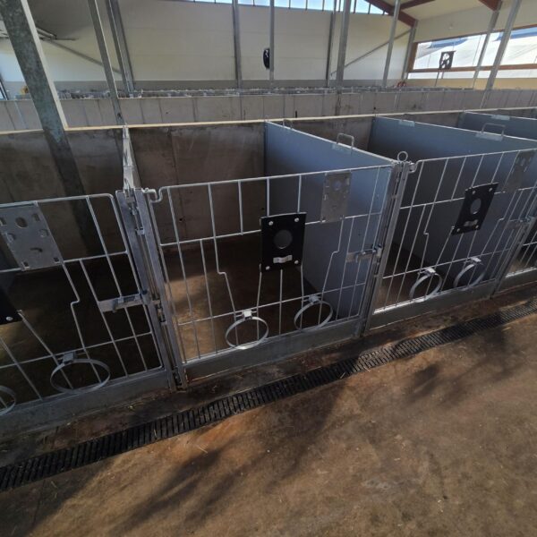 Meedium-2-scaled Plastvasikaboks Calf-QuickBox 1.2 (0-3 kuud) plasttagaseinaga